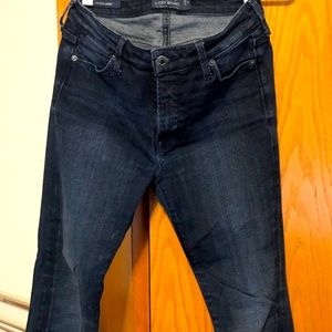 Hayden Indigo Skinny
